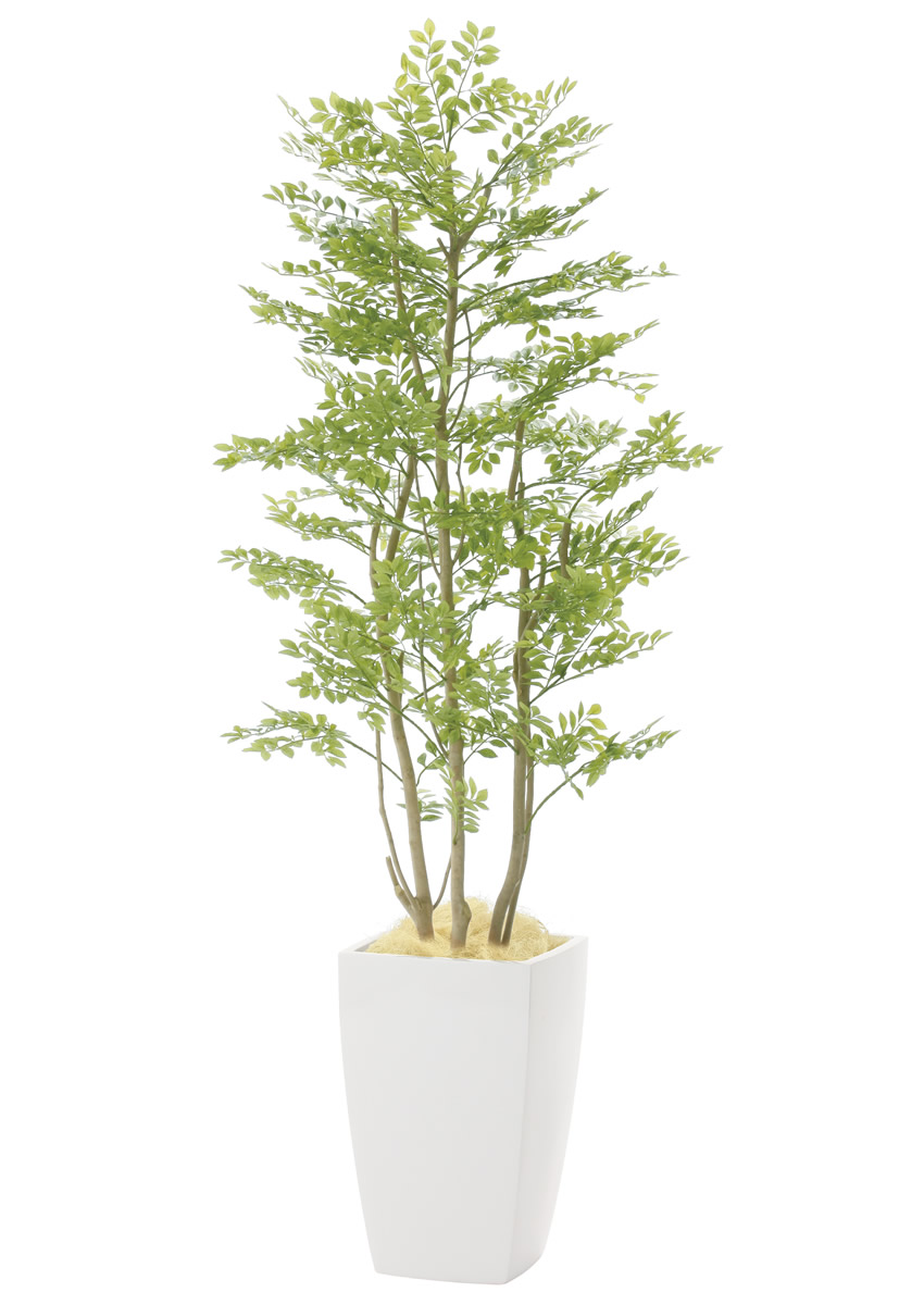 光触媒 光の楽園 アーバンゴールデンリーフ1.8m【インテリア フェイク