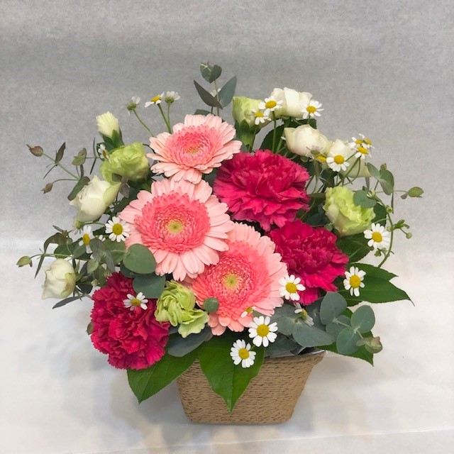 アレンジメント ガーベラ ピンク [A-3500-2] 名古屋のフラワーギフト