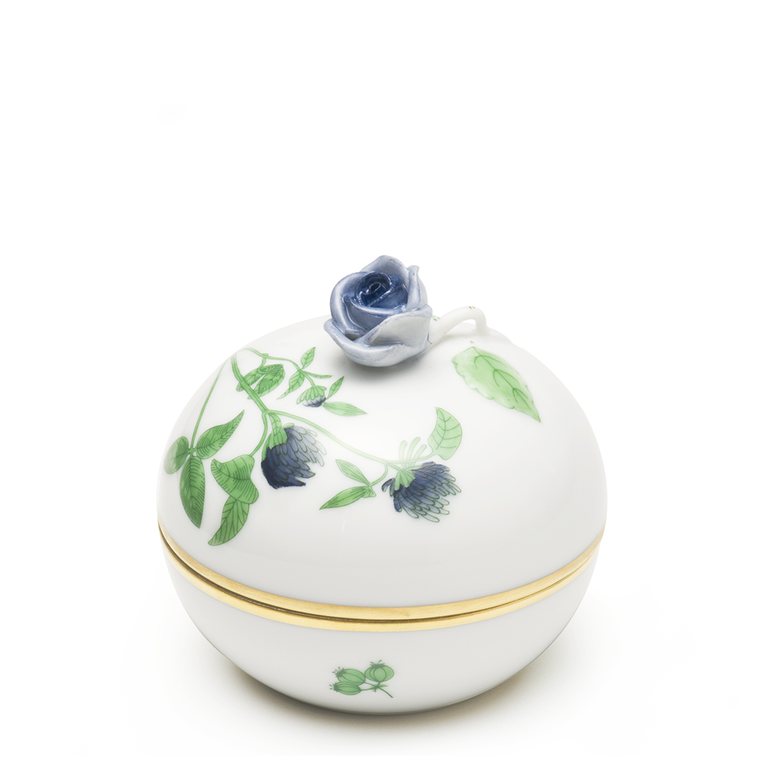 ハーブガーデン] マルボンボン薔薇