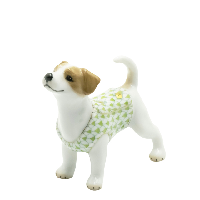 ドッグ コレクション