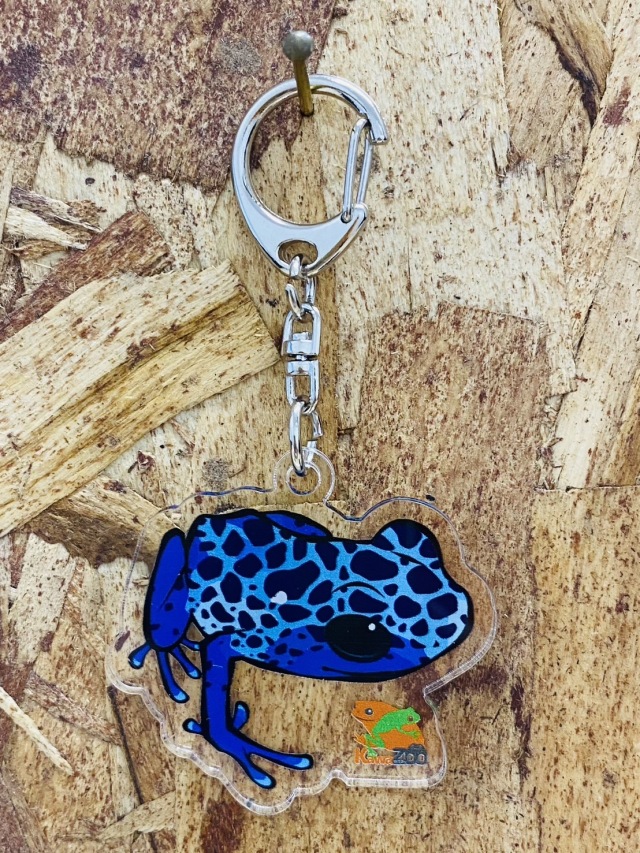 KawaZooオリジナル アクリルキーホルダー コバルトヤドクガエル