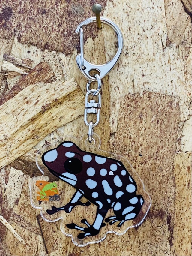 KawaZooオリジナル アクリルキーホルダー ミステリオサスヤドクガエル