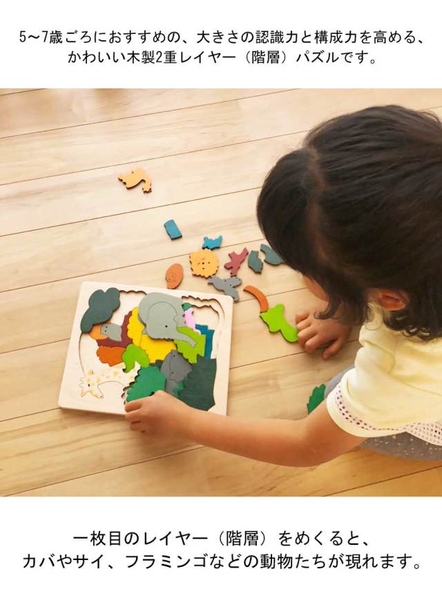 TOYS】木製2重パズル アフリカ/北極（George Luck）(日本正規品)59