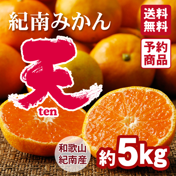 みかん様 みかん様 用 みかん様 ミカン様 ミカン様 蜜柑様 レビュー