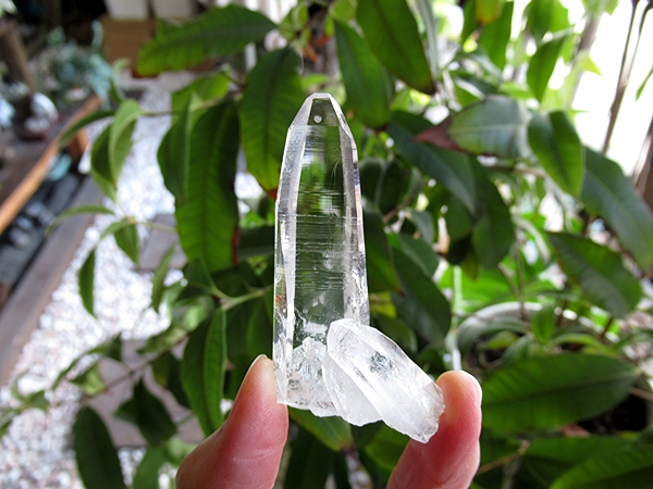 コロンビア産 レムリアンシードクリスタル 最高品質 水晶 原石