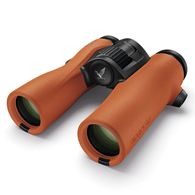 スワロフスキー NL PURE 8x32 オレンジ【即納】 ネイチャーショップKYOEI