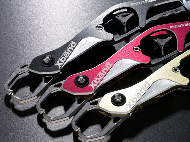 アピア（APIA） APIA エクスバンド HD（Xband HD） 【シーバスルアー