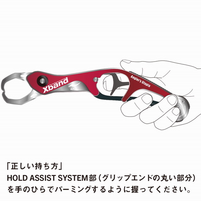 アピア（APIA） APIA エクスバンド HD（Xband HD） 【シーバスルアー