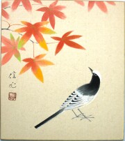 シマエナガ・鳥 特集