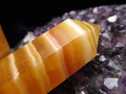 ☆新鮮！フルーティーオレンジカラー☆縞模様が特徴的なバンデッドカル