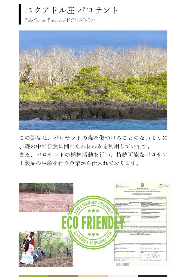 1000本 業務用サイズ◇エクアドル産 パロサントスティック◇聖なる樹