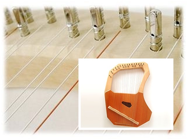 ライア弦 ペロル