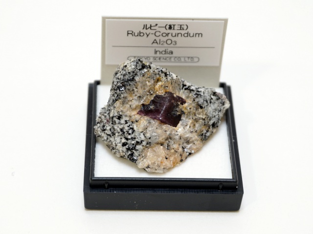 1008-7】7月の誕生石/ルビーコランダム/紅玉/インド産/ミニ鉱物標本 ペロル