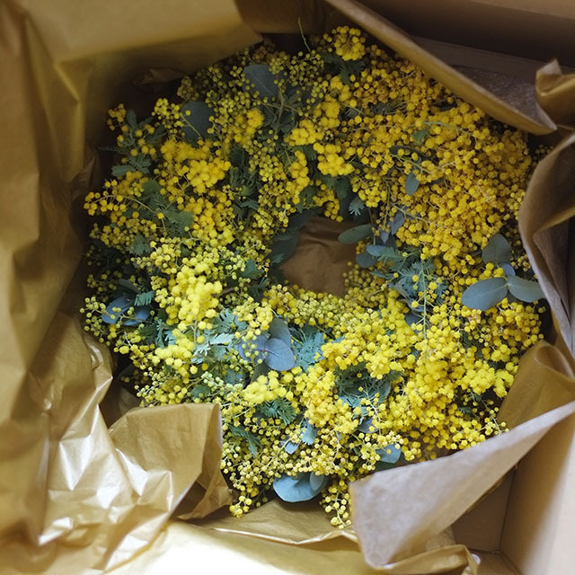 ミモザのリース｜直径300mm｜15,000円｜セミドライフラワー｜2月-3月