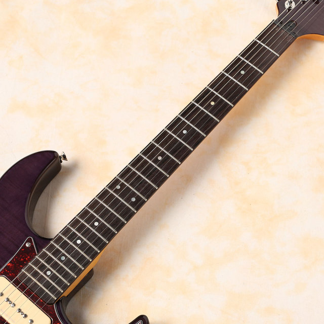 YAMAHA/PACIFICA 611HFM TPP トランスルーセントパープル 【ヤマハ
