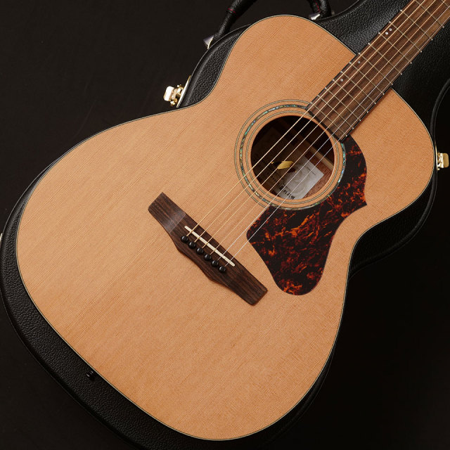 Morris/FE-91【お取り寄せ商品】