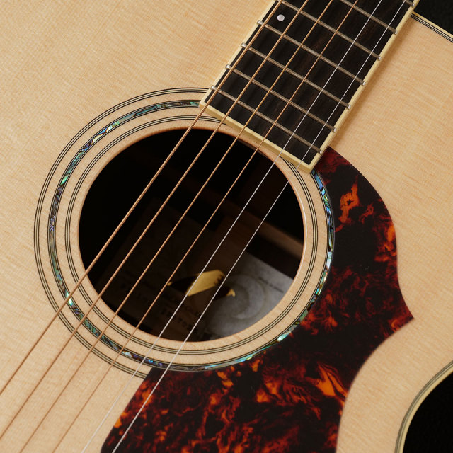 Morris/FE-101【お取り寄せ商品】