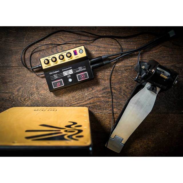 Roland/EC-10M ELCajon Mic Processor