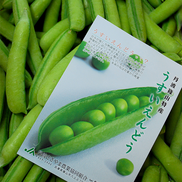 丹波篠山うすいえんどう豆の販売ページ／丹波篠山食料品店