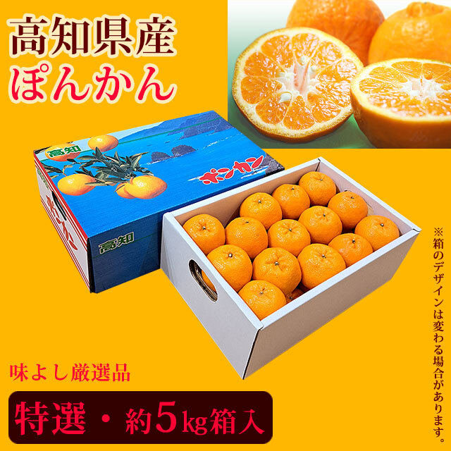 ぽんかん（味よし厳選品）特選・約5kg箱入り