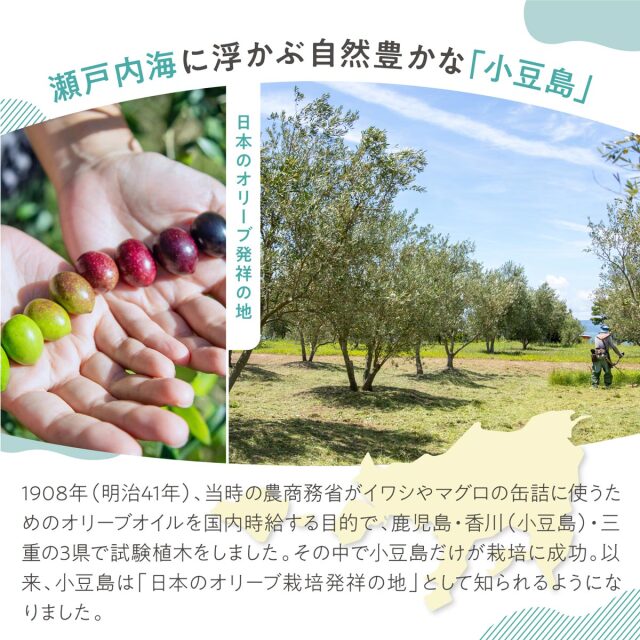70周年記念】小豆島産 循環型 有機栽培 エキストラバージンオリーブ
