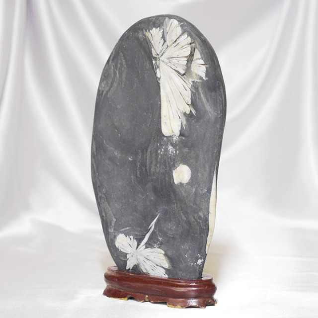 菊花石 No.234 【鑑賞用鉱石】高さ:約28cm 幅:約15cm 重さ:約3.5kg