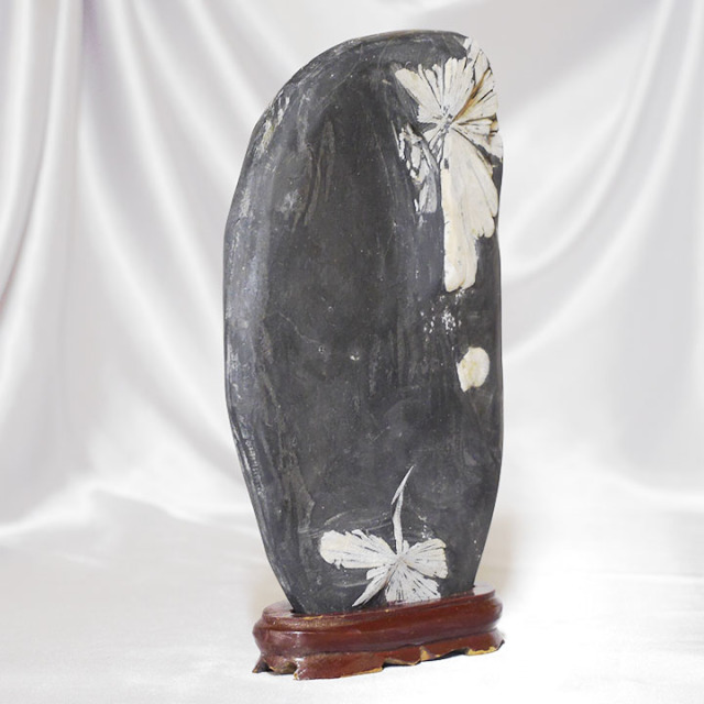 菊花石 No.234 【鑑賞用鉱石】高さ:約28cm 幅:約15cm 重さ:約3.5kg