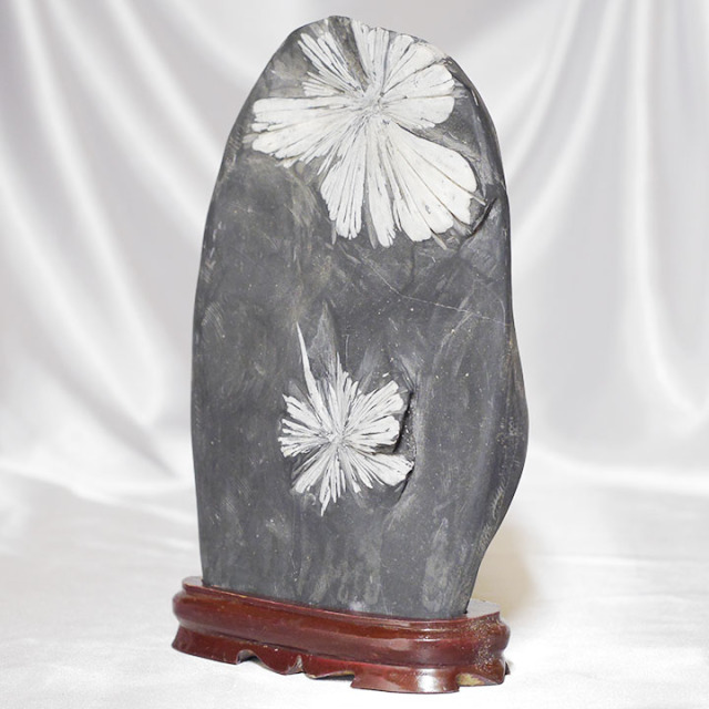 菊花石 No.257 【鑑賞用鉱石】高さ:約25cm 幅:約17cm 重さ:約3.7kg