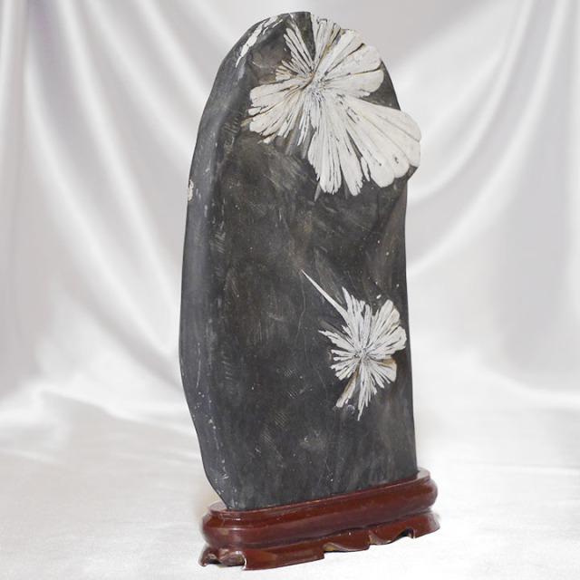 菊花石 No.257 【鑑賞用鉱石】高さ:約25cm 幅:約17cm 重さ:約3.7kg