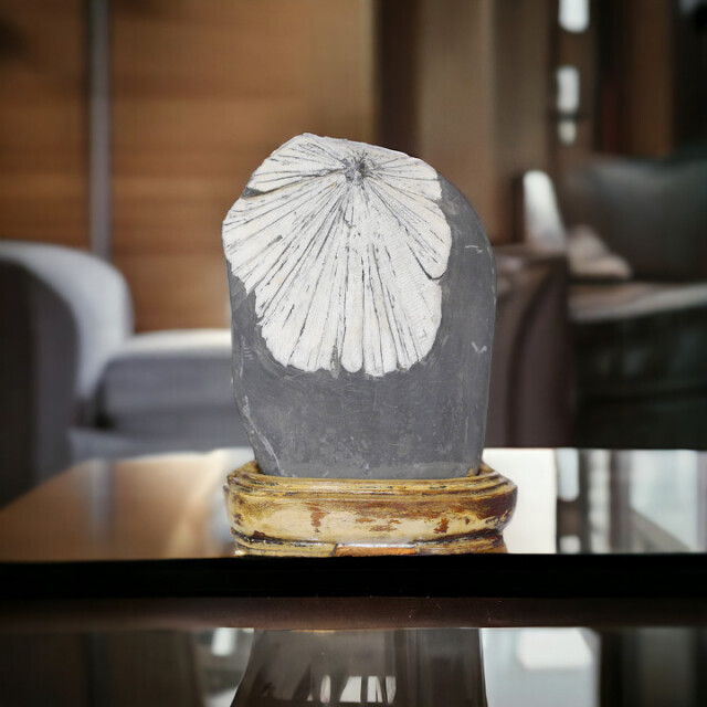 菊花石 No.259 【鑑賞用鉱石】高さ:約17cm 幅:約14cm 重さ:約2.6kg