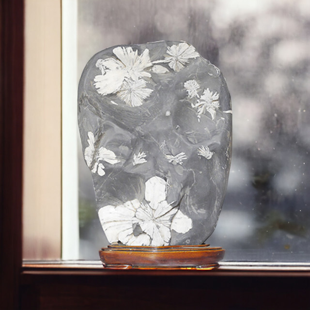 菊花石 No.263 【鑑賞用鉱石】 高さ:約22cm 幅:約14cm 重さ:約2.5kg