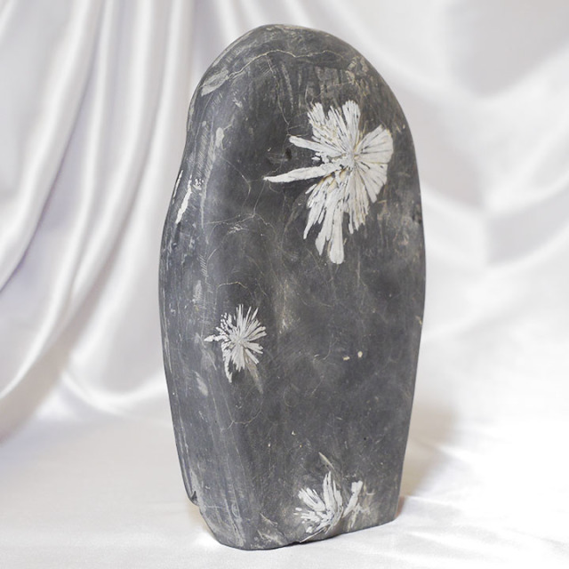 菊花石 No.282 【鑑賞用鉱石】高さ:約26cm 幅:約18cm 重さ:約5.9kg