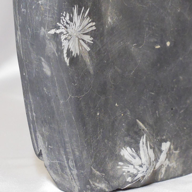 菊花石 No.282 【鑑賞用鉱石】高さ:約26cm 幅:約18cm 重さ:約5.9kg