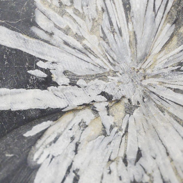 菊花石 No.282 【鑑賞用鉱石】高さ:約26cm 幅:約18cm 重さ:約5.9kg