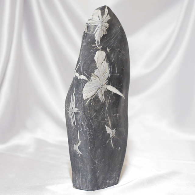 菊花石 No.283 【鑑賞用鉱石】高さ:約27cm 幅:約14cm 重さ:約3.6kg