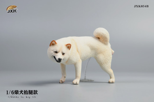 JxK.Studio】JXK054ABC shiba inu Leg Lift 1/6スケール 柴犬 イヌ
