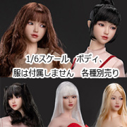 1/6ヘッド