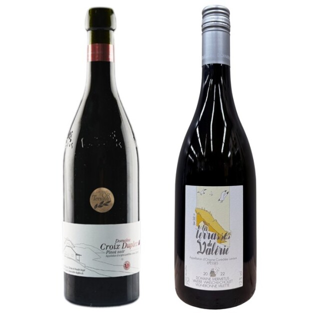 世界遺産ラヴォーのブドウ段々畑」ピノ・ノワール・クロワ・デュプレ