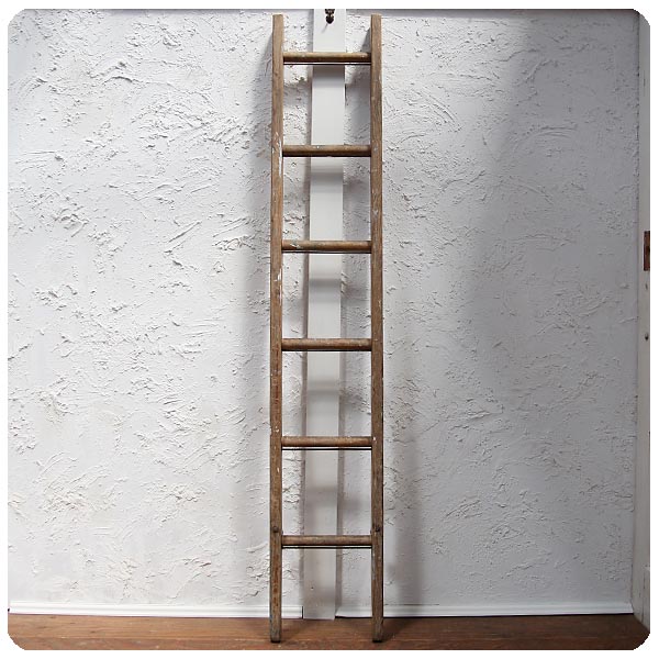 イギリス アンティーク ラダー オールドパイン はしご 古木 脚立