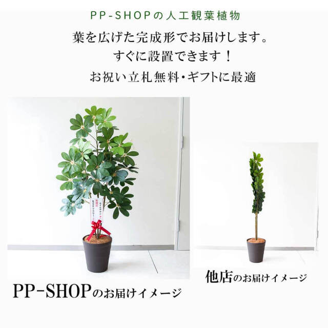 人工 観葉植物 フェイク グリーン 新緑ベンジャミン H約165cm 店舗