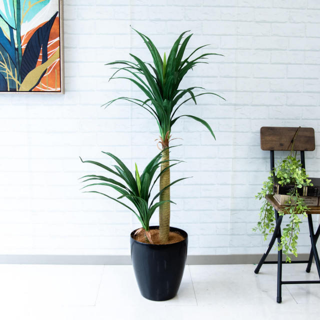 人工 観葉植物 フェイク グリーン ドラセナコンシナ H約110cm 店舗