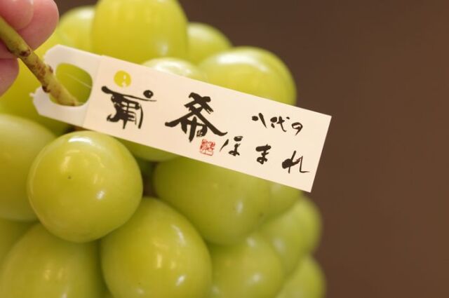 八代の葡希ほまれ 最上級 シャインマスカットぶどう通販 JAふえふき