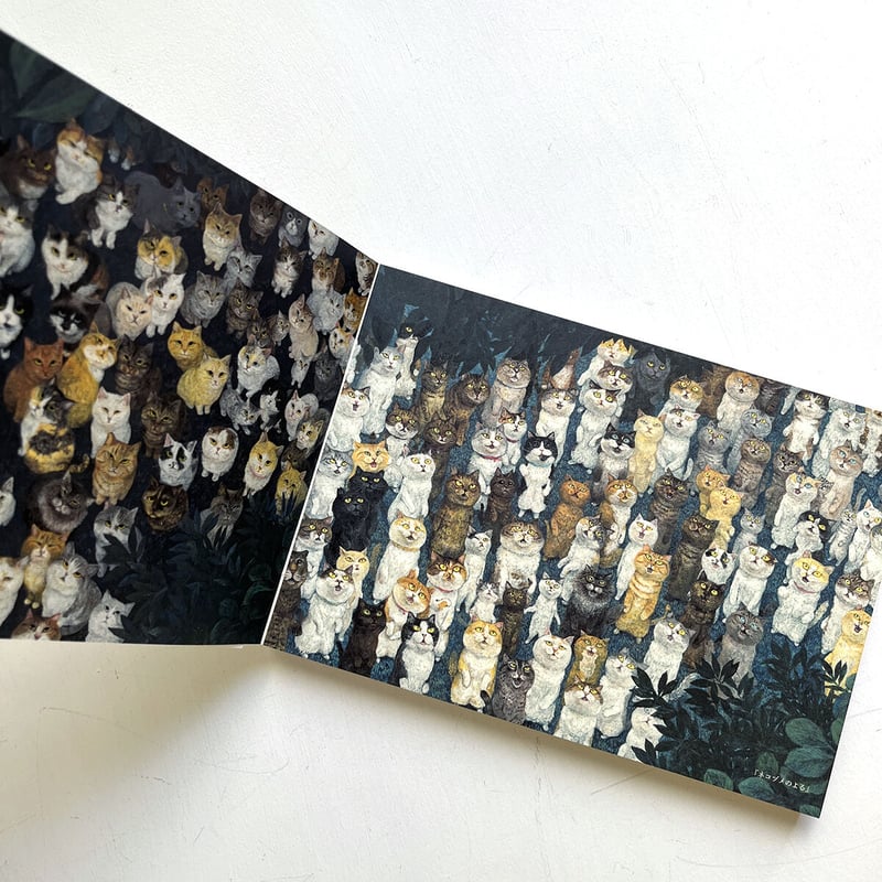 町田尚子画集 隙あらば猫』☆サイン本 | URESICA