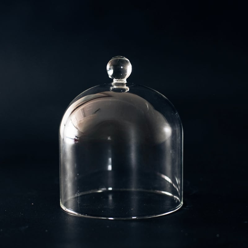 ガラスドーム100 | 道具屋 nobori