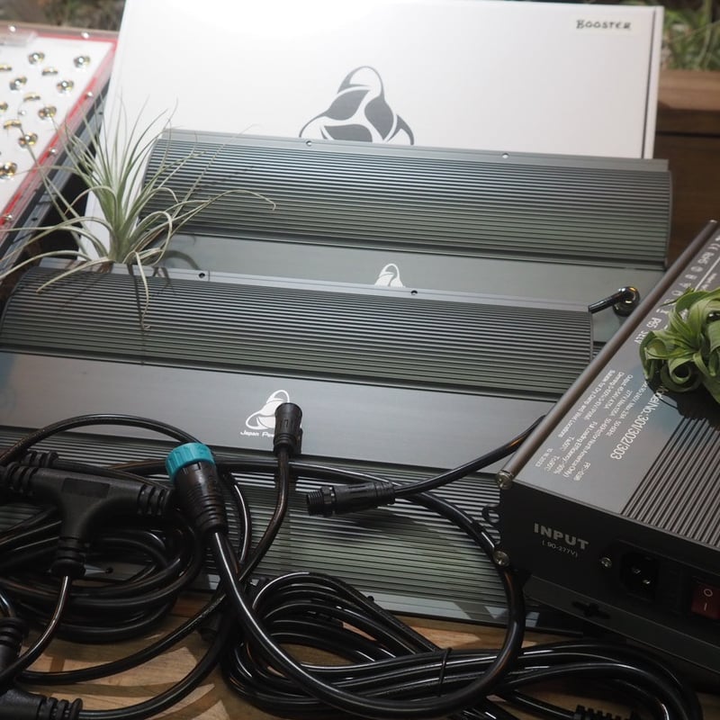 ◇ Helios Green LED PRO Booster 3枚一式セット (303)／ 広