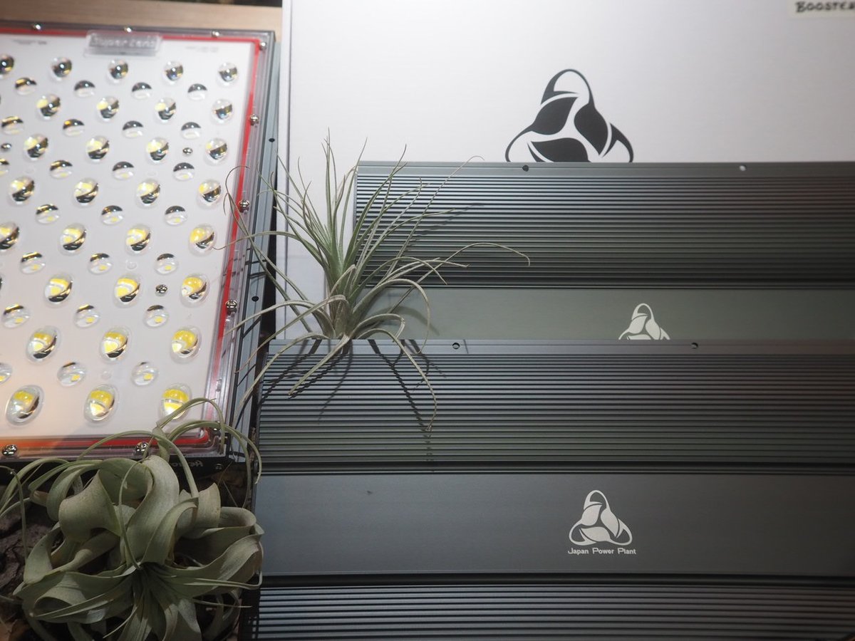 ◇ Helios Green LED PRO Booster 3枚一式セット (303)／ 広