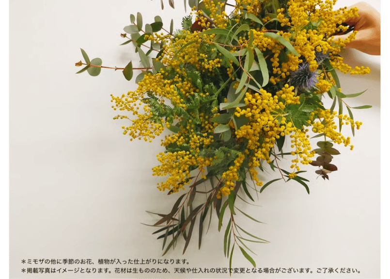 Workshop：ミモザと季節の花のリース＆スワッグ【 2026年1月31日（土