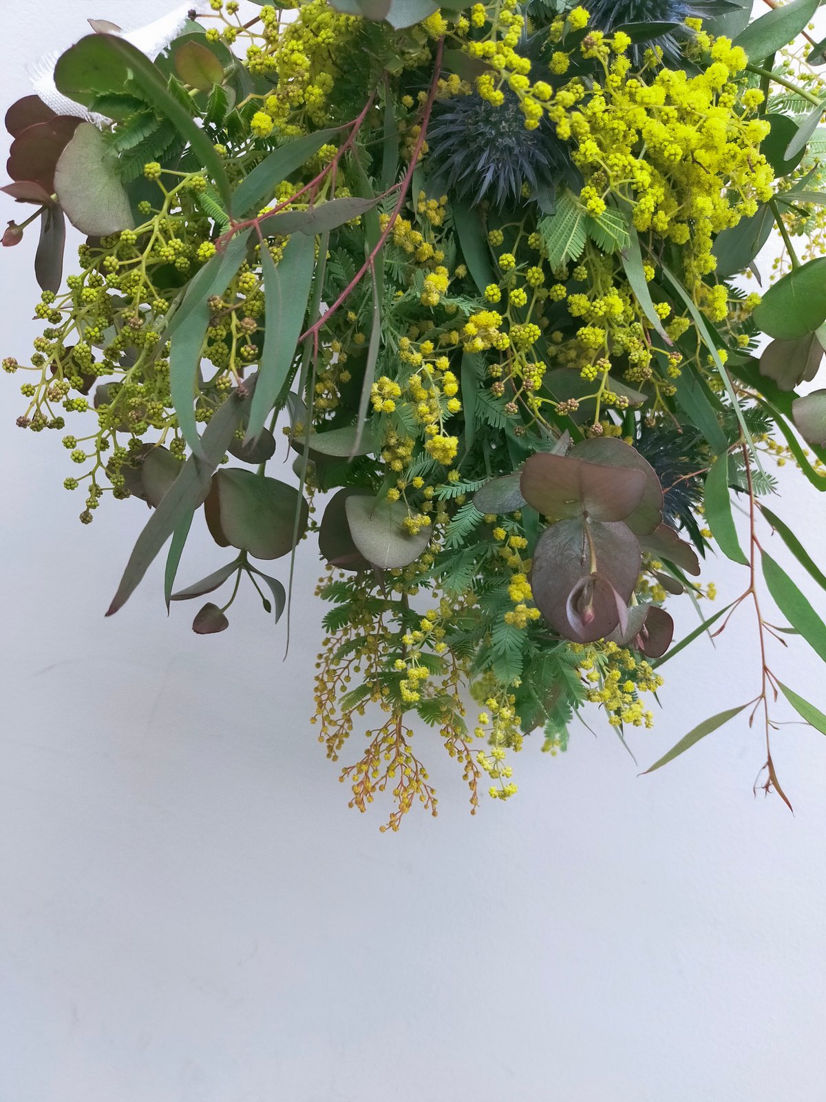 限定】ミモザのスワッグ | Glanet collection