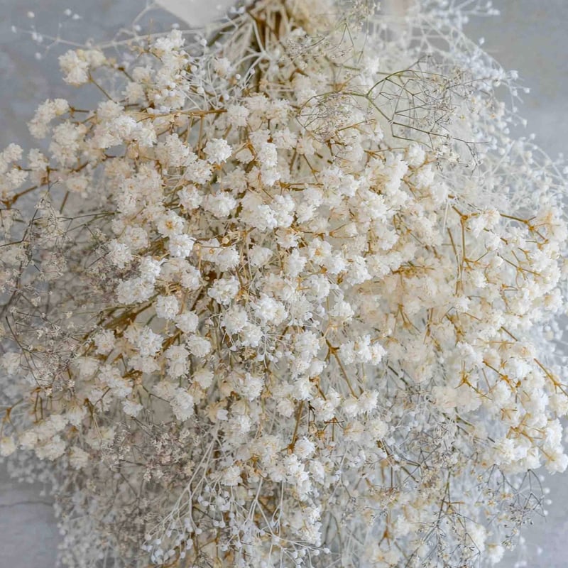 カスミソウのドライフラワースワッグ | ドライフラワーと、うつわと