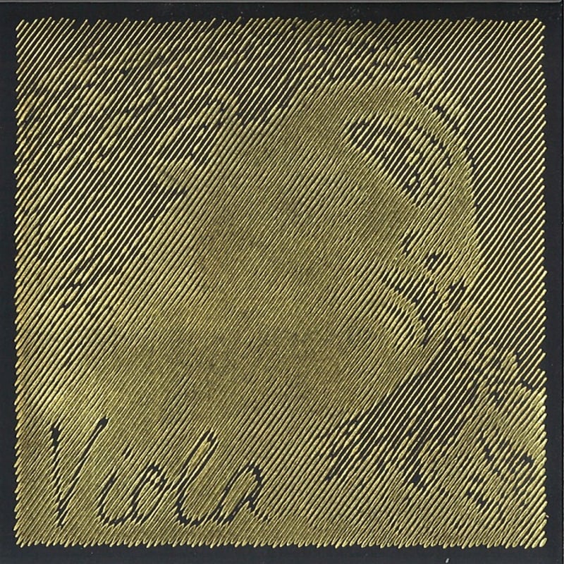 ヴィオラ弦】evah pirazzi gold / エヴァピラッツィゴールド D線 | 文京